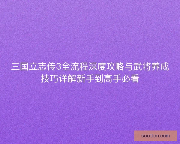 三国立志传3全流程深度攻略与武将养成技巧详解新手到高手必看